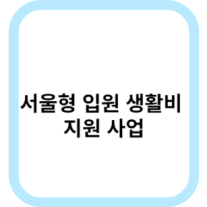 서울형 입원 생활비 지원 서비스